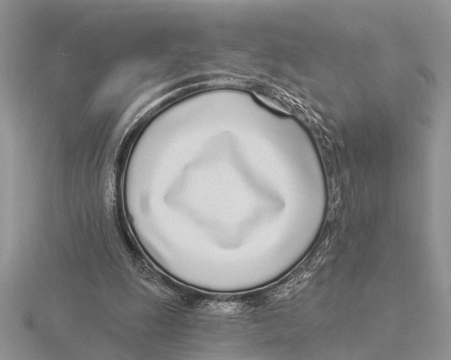 X0000115690247200912101159