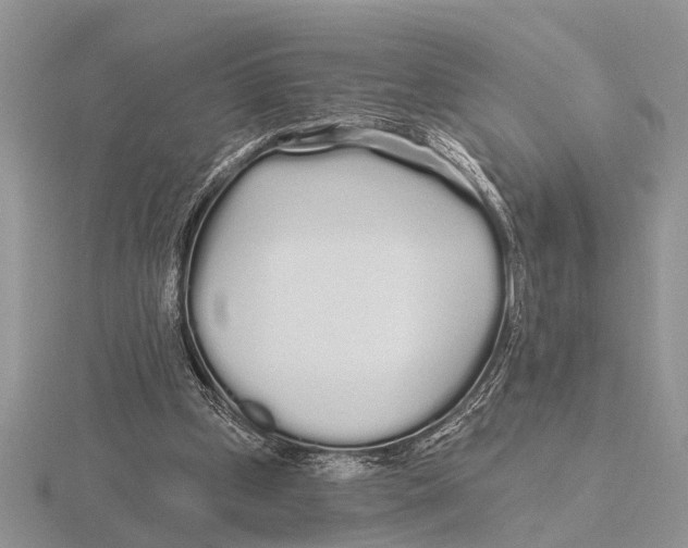 X0000115690249200912101159