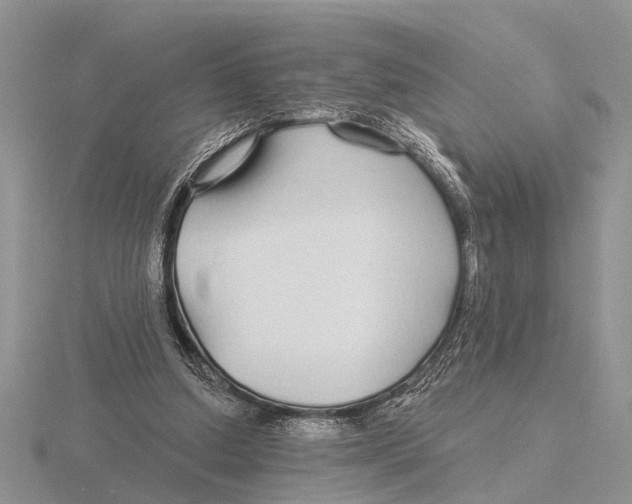 X0000115690250200912101159