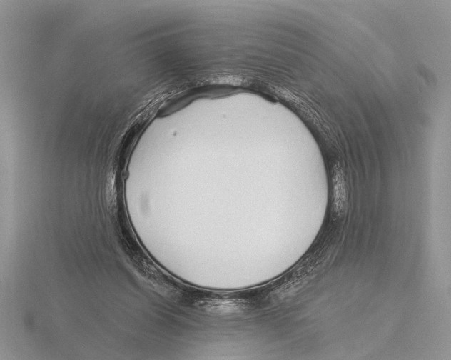 X0000115690254200912101159