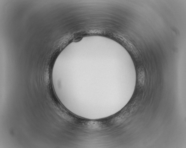 X0000115690261200912101159