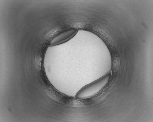 X0000115690264200912101159