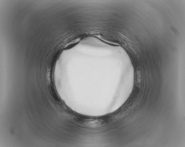 X0000115690267200912101159