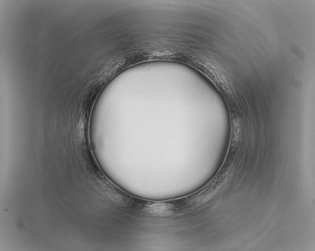 X0000115690269200912101200