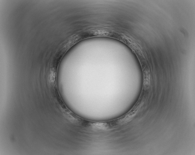X0000115690281200912101200