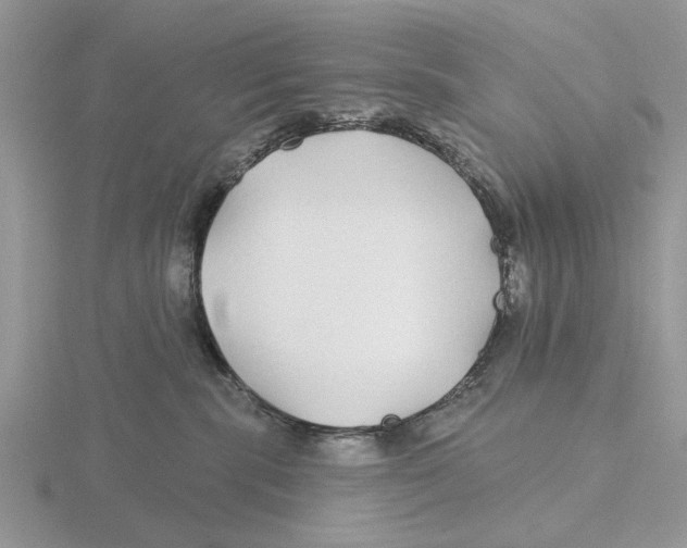 X0000115690283200912101200