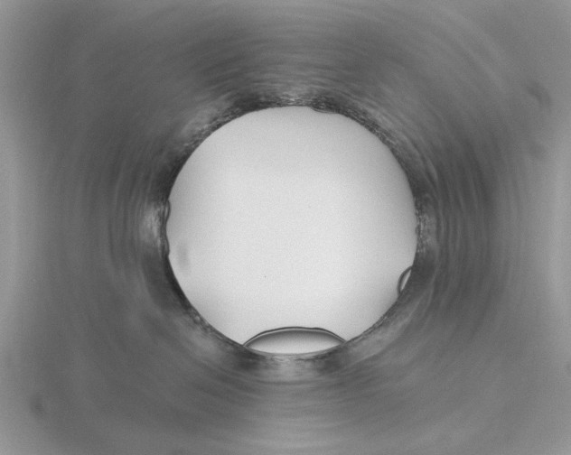 X0000115690286200912101200