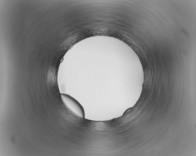 X0000115690287200912101200