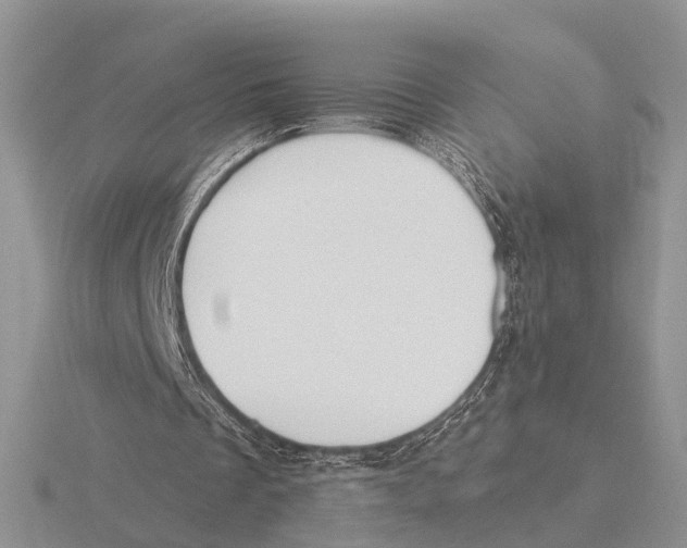 X0000115690289200912101159