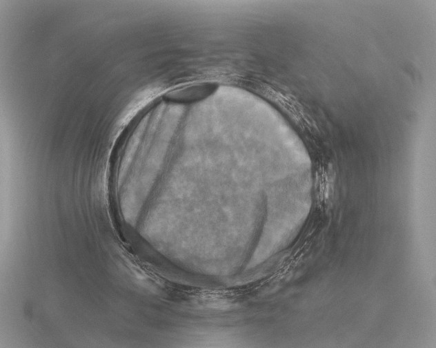 X0000115690292200912101159
