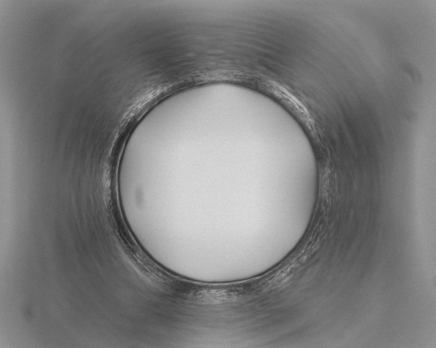 X0000115690298200912101159