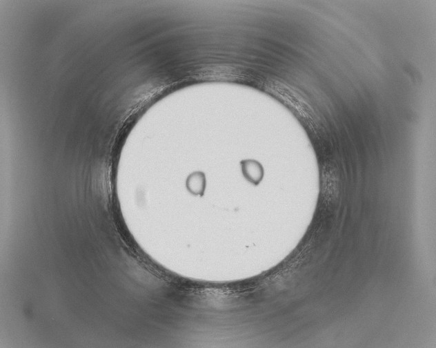 X0000115690302200912101159