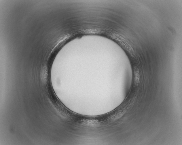 X0000115690304200912101159