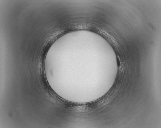 X0000115690306200912101159