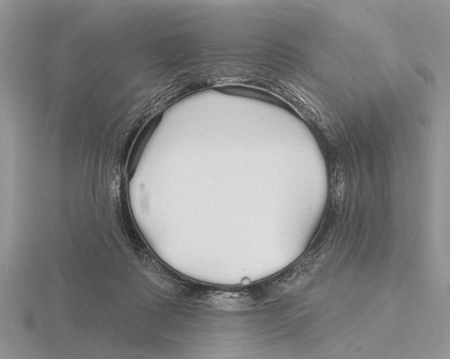 X0000115690315200912101159