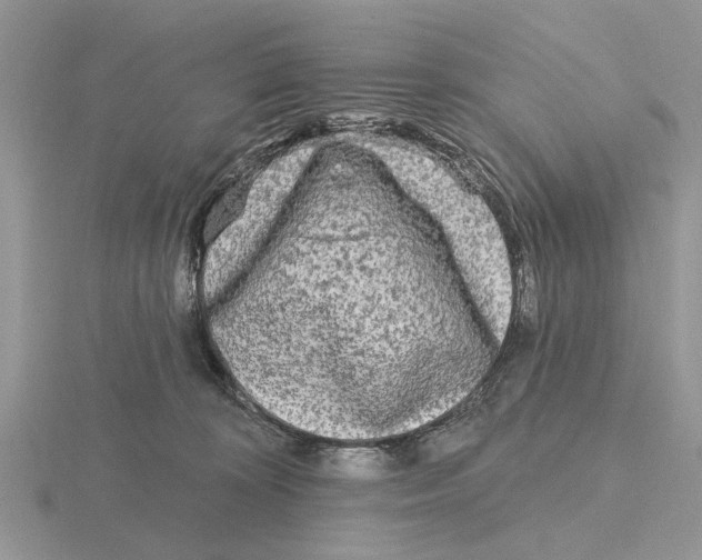 X0000115690324200912101159
