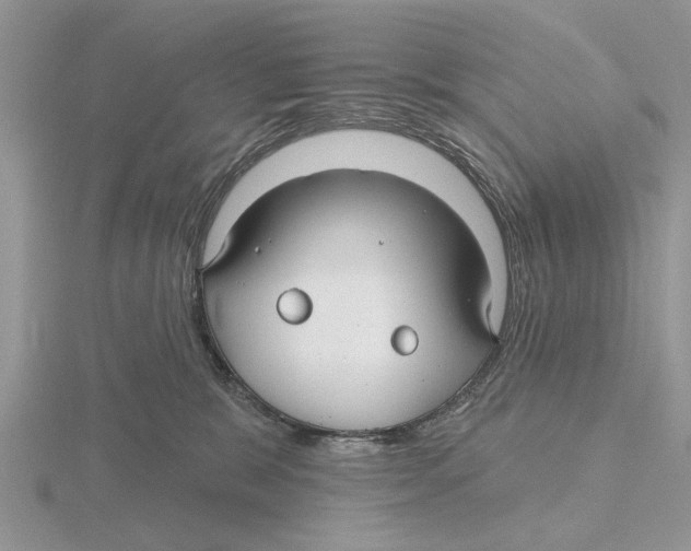 X0000115690327200912101159