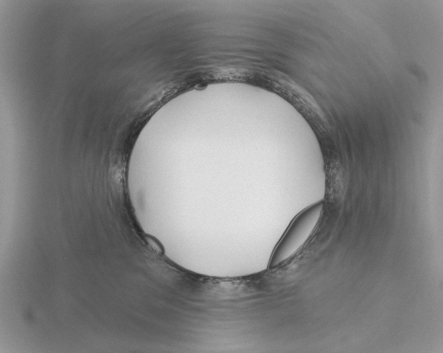 X0000115690329200912101159
