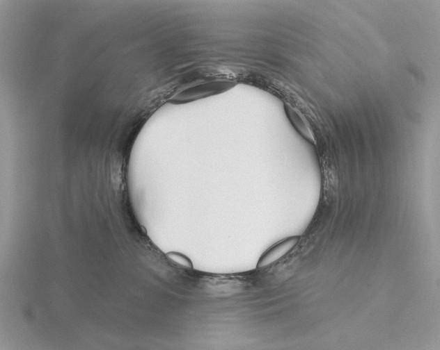 X0000115690331200912101159