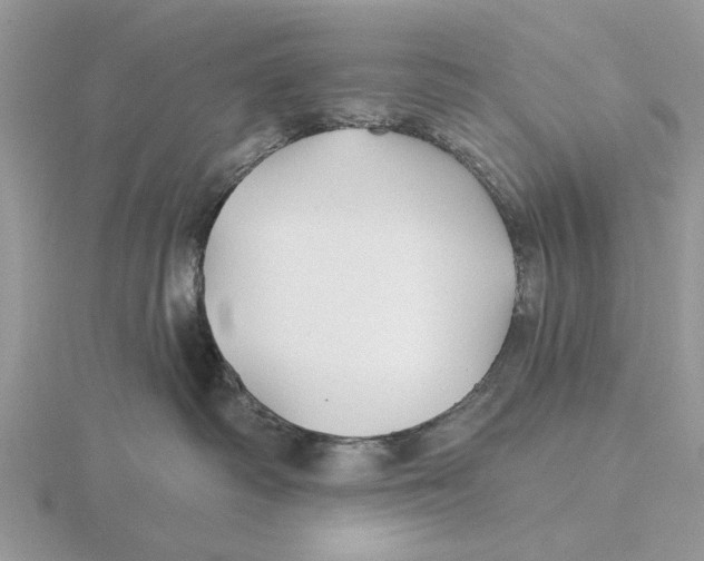 X0000115690334200912101159