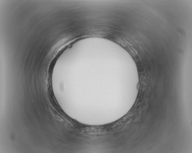 X0000115690338200912101158
