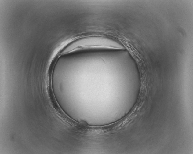 X0000115690342200912101158