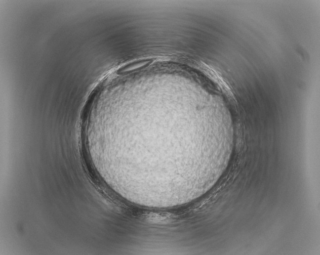 X0000115690346200912101158