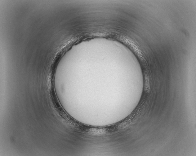 X0000115690354200912101158