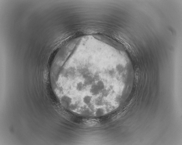 X0000115690359200912101158