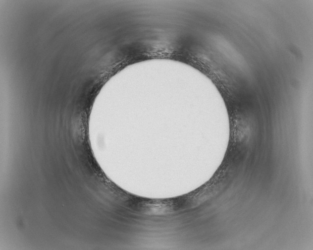 X0000115690370200912101158