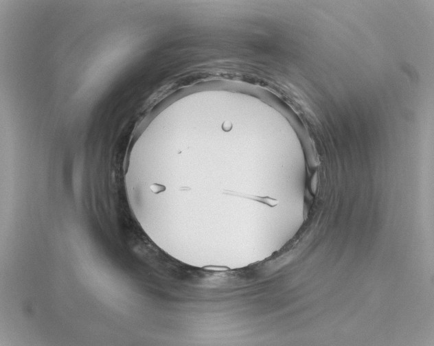 X0000115690382200912101158