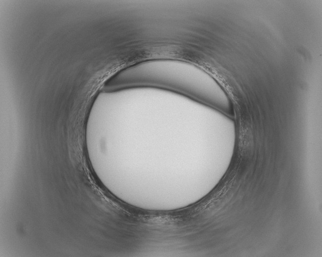X0000115690385200912101158