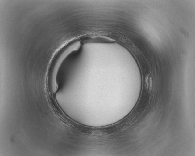 X0000115690388200912101158