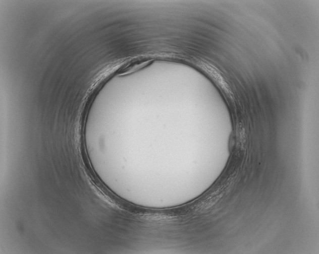 X0000115690389200912101158
