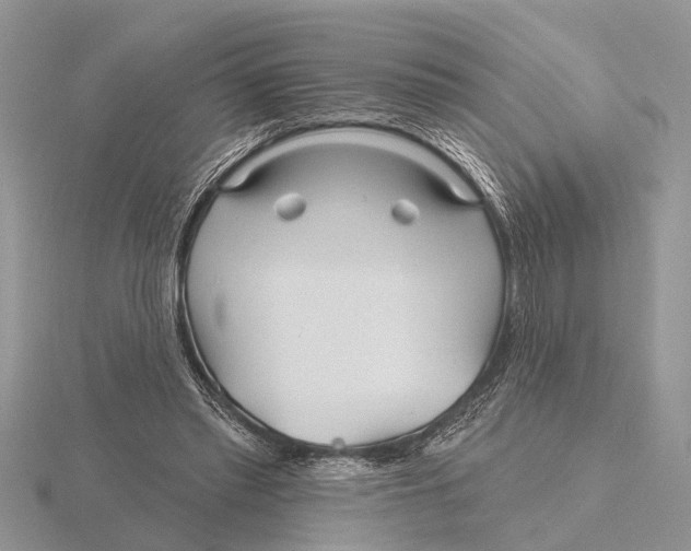 X0000115690397200912101158