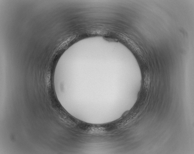 X0000115690403200912101158