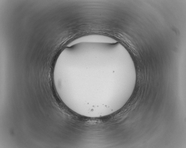 X0000115690415200912101158