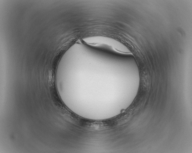 X0000115690420200912101157