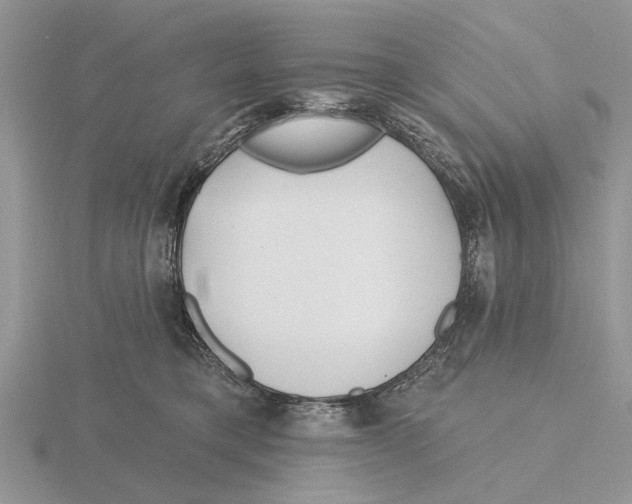 X0000115690421200912101157
