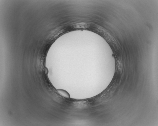 X0000115690422200912101157