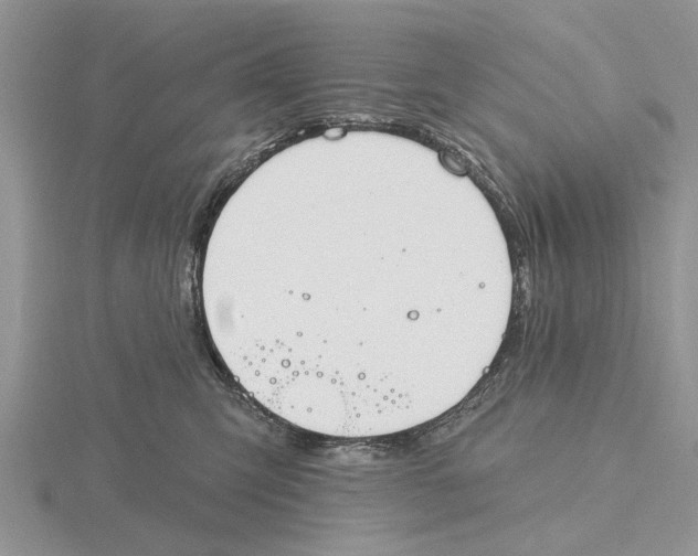 X0000115690423200912101157