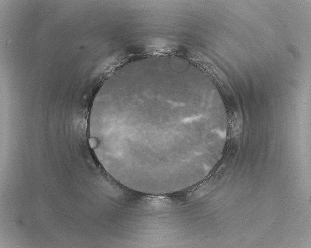 X0000115690427200912101157