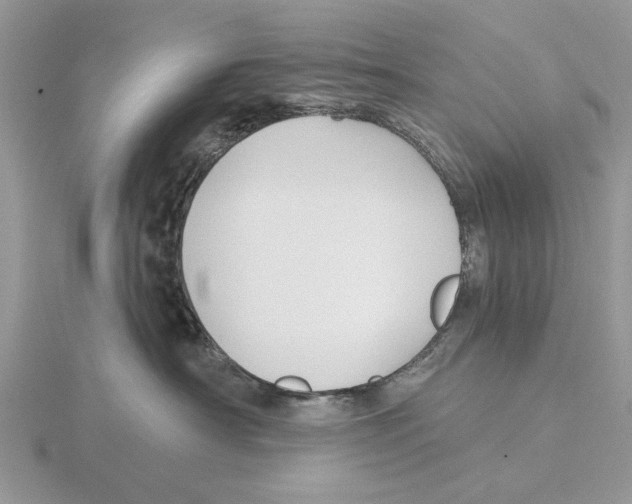 X0000115690430200912101157