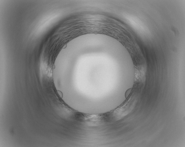 X0000115690431200912101157