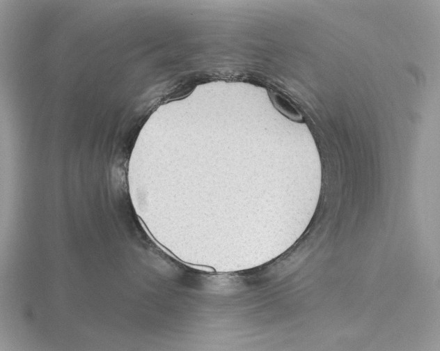 X0000115690432200912101157