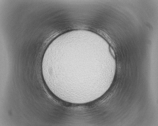 X0000115690433200912101157