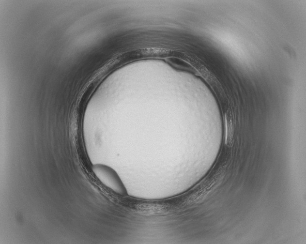 X0000115690435200912101157