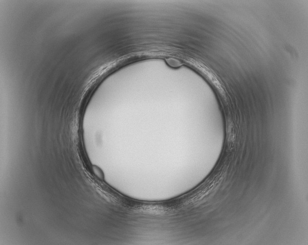 X0000115690437200912101157