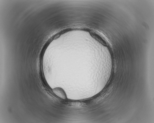 X0000115690439200912101157