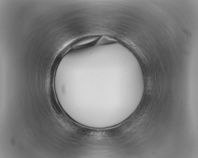 X0000115690440200912101157